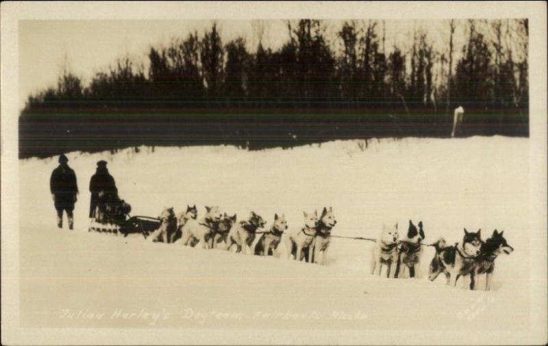 Fairbanks AK Julian Hurley's Dog Team Dogsled Husky Malamute RPPC myn