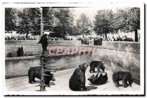 Old Postcard Bear Bern The Bear Pit