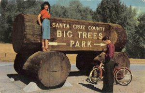 BIG TREES PARK Entrance Sign SANTA CRUZ, CA Bicycle c1950s Vintage Postcard