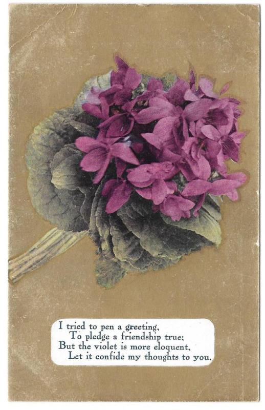 Motto Friendship Poem Postcard Flowers Violets on Gold 1909