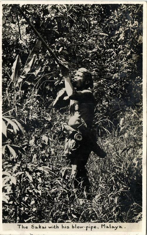 malay malaysia, Native Sakai Male with his Blow-Pipe (1930s) RPPC Postcard