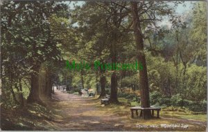 Lincolnshire Postcard - Woodhall Spa, Church Walk  RS34212