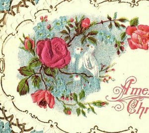 1907-15 A Merry Christmas Postcard Song Birds Red Roses Flowers Embossed  
