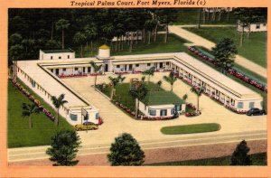 Florida Fort Myers Tropical Palms Court