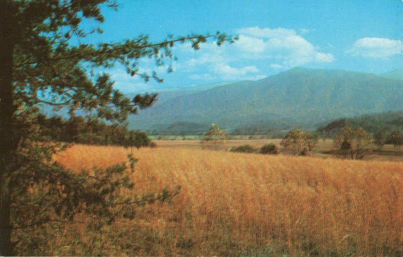 Postcard Cades Cove Great Smoky Mountians