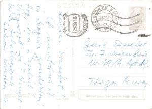 B25953 Bison Romania Hateg