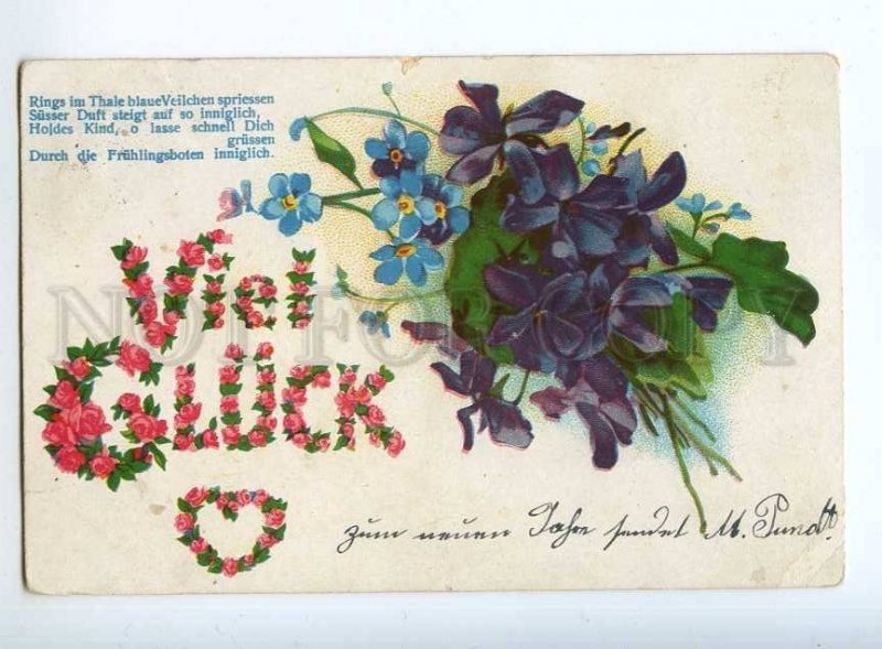 240888 GREETING Bouquet VIOLETS Vintage postcard