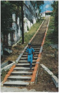 The  Ninety-Nine Steps, is a famous street in St.Thomas, Virgin Islands, U....