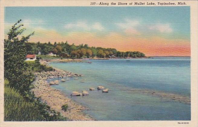 Michigan Topinabee Along The Shore Of Mullet Lake 1953 Curteich