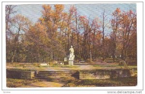 The Park, The Great Circles, Laid Out By Vincenzo Brenna In 1799, Pavlovsk, S...