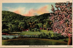 Vtg 1930s Scenic Greetings from Eastman Georgia GA Unused Linen Postcard