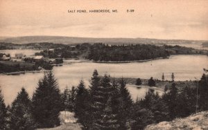 Vintage Postcard 1945 Salt Pond Preserve Trees Mountain Nature Harborside Maine