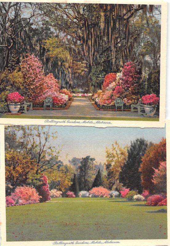 D60/ Mobile Alabama AL (11) Postcards Bellingrath Gardens 11 Postcards c1910