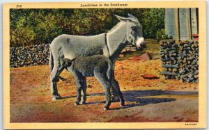 Postcard - Lunchtime in the Southwest