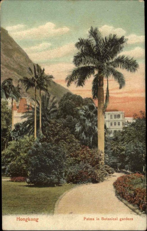 Hongkong Hong Kong China Palm Botanical Garden c1905 Postcard 