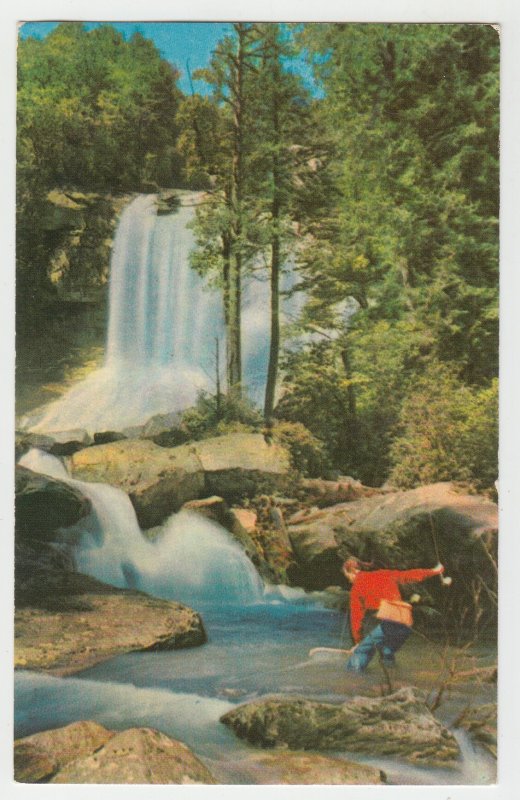 P2453, vintage postcard trout fishing white water falls sapphire section N.C