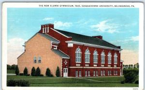 SELINSGROVE, Pennsylvania  PA  Gymnasium SUSQUEHANNA UNIVERSITY 1935  Postcard