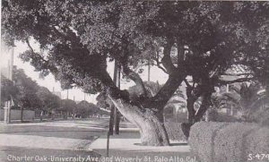 California Palo Alto Charter Oak University Avenue And Waverly Street