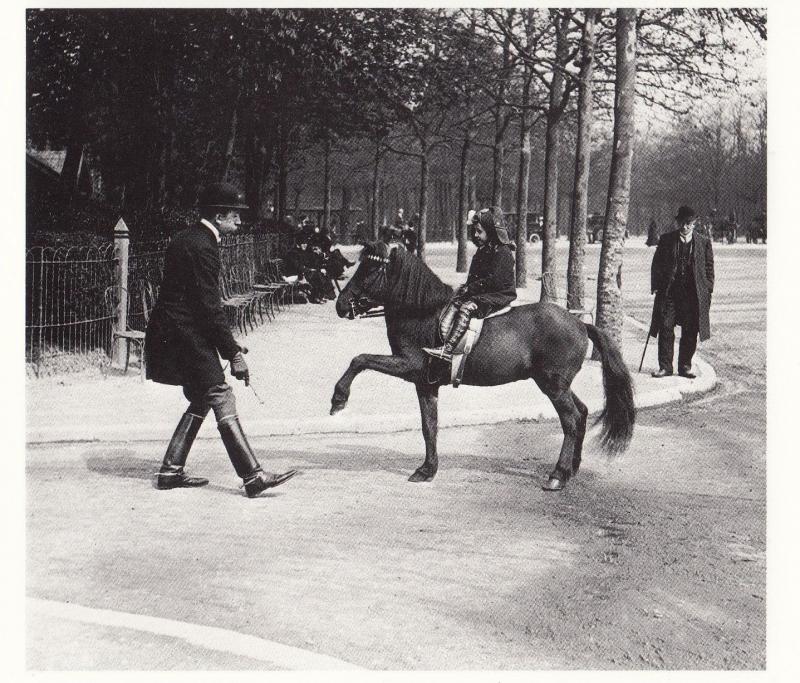 French Horse Training Street Riding in 1912 Equestrian Photo Postcard