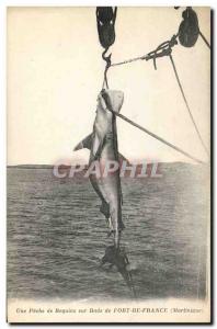 Old Postcard A fishing shark fishing on bay of Fort de France Martinique TOP