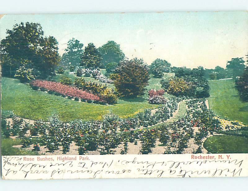 Pre-1907 PARK SCENE Rochester New York NY H4085