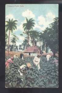 REPUBLICA DE CUBA CUBAN TOBACCO FARMING FIELD VINTAGE POSTCARD