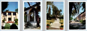 4 Postcards SANTA BARBARA COLLEGE, California CA ~ Campus Views c1940s-60s