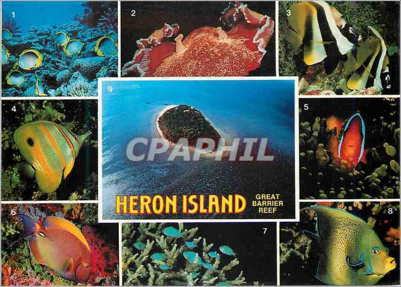  Modern Postcard Heron Island Great Barrier Reef