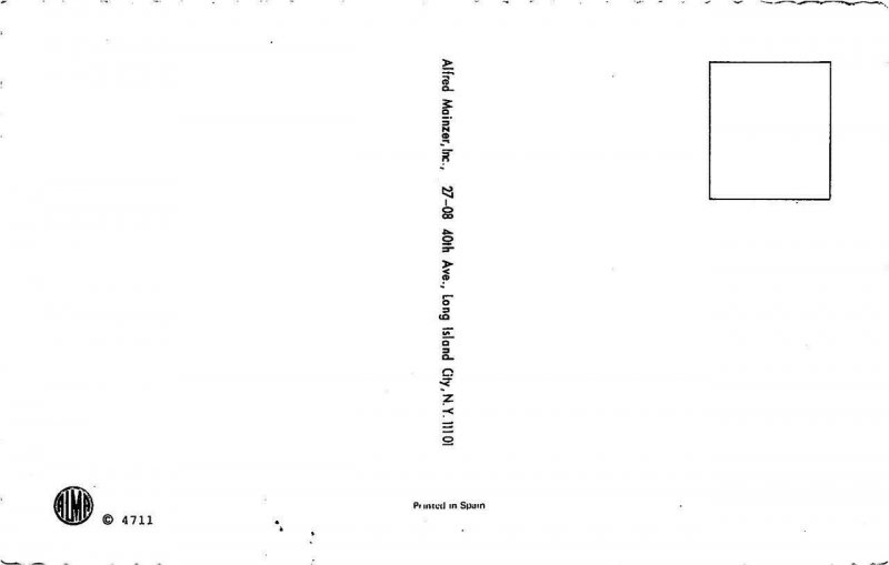 MAINZER  Cats #4711 BOXING MATCH~Sports  Anthropomorphic  Deckle Edge Postcard