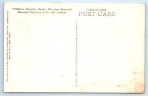 WHITEFACE MOUNTAIN CASTLE Adirondacks, New York NY ~ Handcolored Postcard