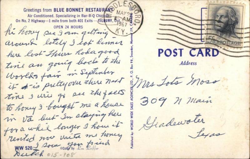 Tilbury Ontario Blue Bonnet Restaurant Old Cars Coca Cola 1950s Postcard