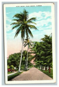 Vintage 1930's Postcard Auto Drive Palm Lined Street in Palm Beach Florida