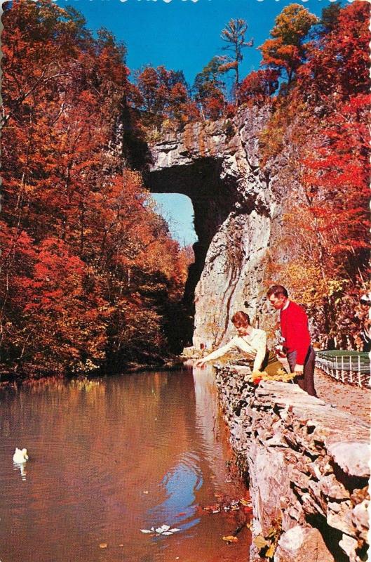 Natural Bridge off Lee Highway US 11 Virgina VA Autumn Scene 1950's Postcard