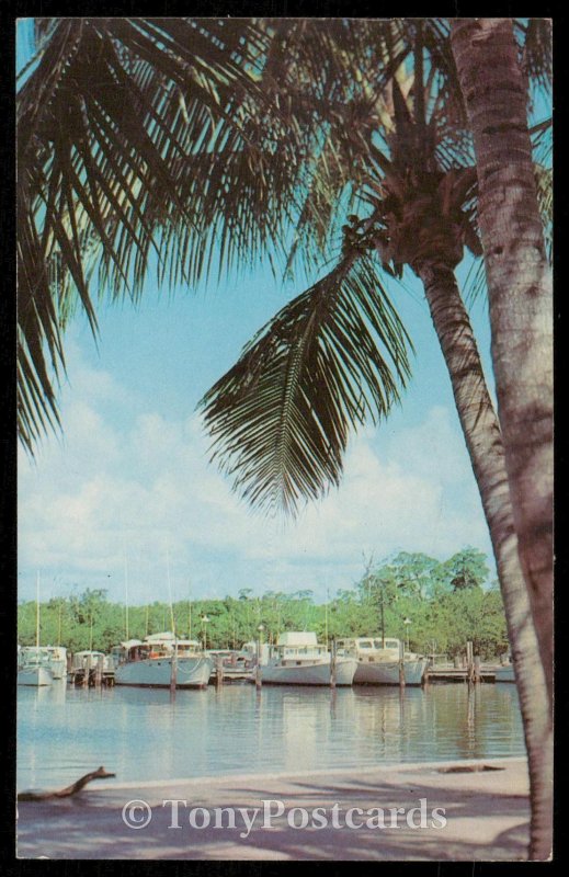 Florida Yacht Basin