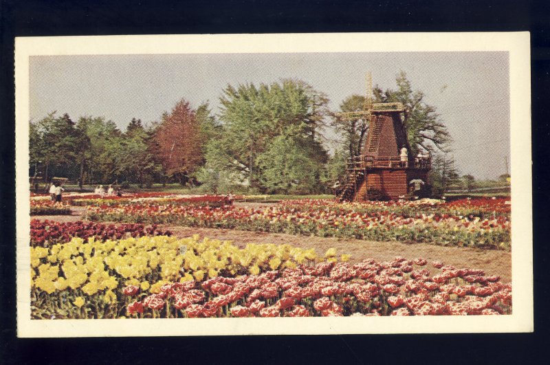 Holland, Michigan/MI Postcard, Tulip Time, Windmill