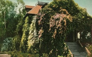 Minnewawa Near Fresno CA Postcard Rose Covered Residence