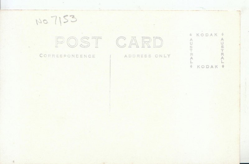 Animals Postcard - Kangaroo - Australia - Koala Park N.S.W.  9511A