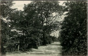Freedom PA Cemetery Hill 9th Str Extension Thompsons Pharmacy 1912 Postcard T16