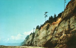 Vintage Postcard Golf Bluffs Beach Prarie Creek Redwoods State Park California