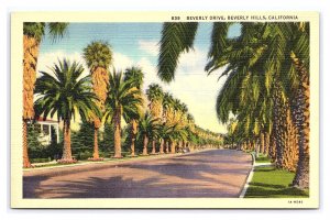 Beverly Drive Beverly Hills California Postcard Palm Trees