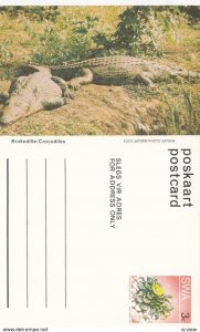 South West Africa (SWA) now Namibia ; Crocodiles , 40-60s