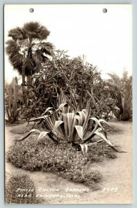 Edinburg Texas~Pirtle Cactus Gardens~Strange Looking Octopus Plants~1930s RPPC
