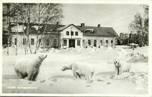 sweden, LULEÅ, Järnvägsstationen, Railway Station, Ice Bear (1954) RPPC Postcard