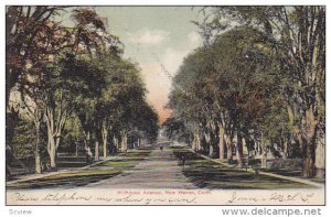 Residence scene,  Hillhouse Avenue,  New Haven,  Connecticut,   PU_1909