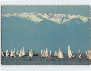 Postcard Sailboats And The Olympic Mountains, Victoria, Canada