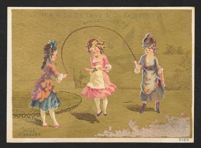 VICTORIAN TRADE CARD HA & LJ DeLand & Co Baking Powder