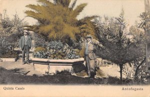 Antofagasta Chile Quinta Castle Gardens Vintage Postcard AA48892