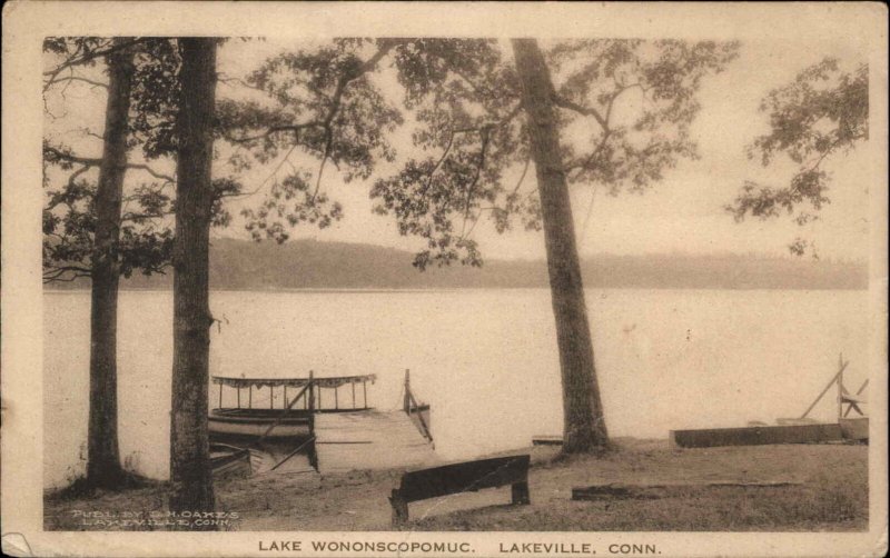 Lakeville Connecticut CT Lake Wononscopomuc Vintage Postcard