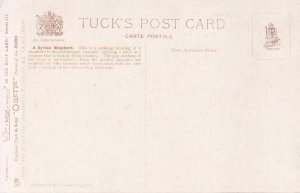 In the Holy Land - A Syrian Shepherd, Raphael Tuck postcard