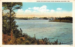 Seaford Delaware Nanticoke River Scenic View Vintage Postcard AA111049